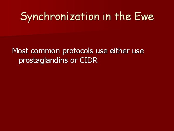 Synchronization in the Ewe Most common protocols use either use prostaglandins or CIDR 