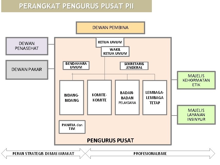 PERANGKAT PENGURUS PUSAT PII DEWAN PEMBINA KETUA UMUM DEWAN PENASEHAT DEWAN PAKAR WAKIL KETUA