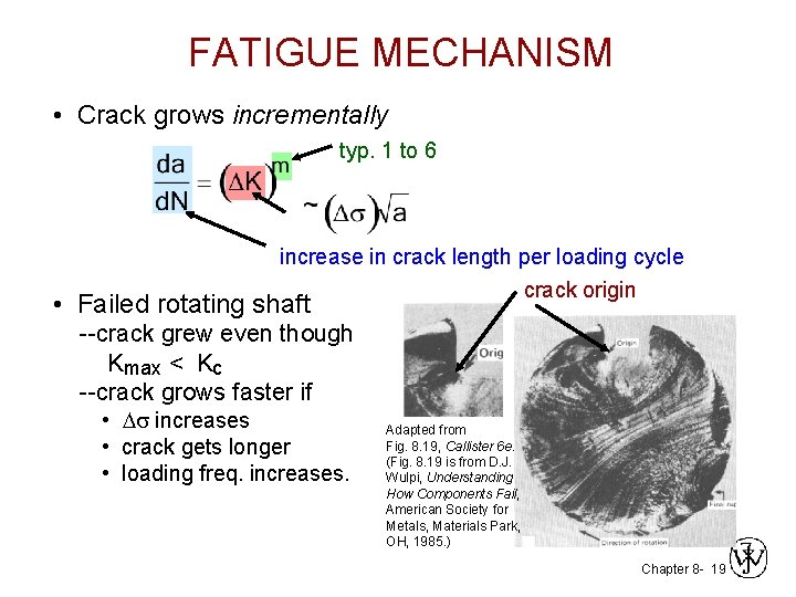 FATIGUE MECHANISM • Crack grows incrementally typ. 1 to 6 increase in crack length