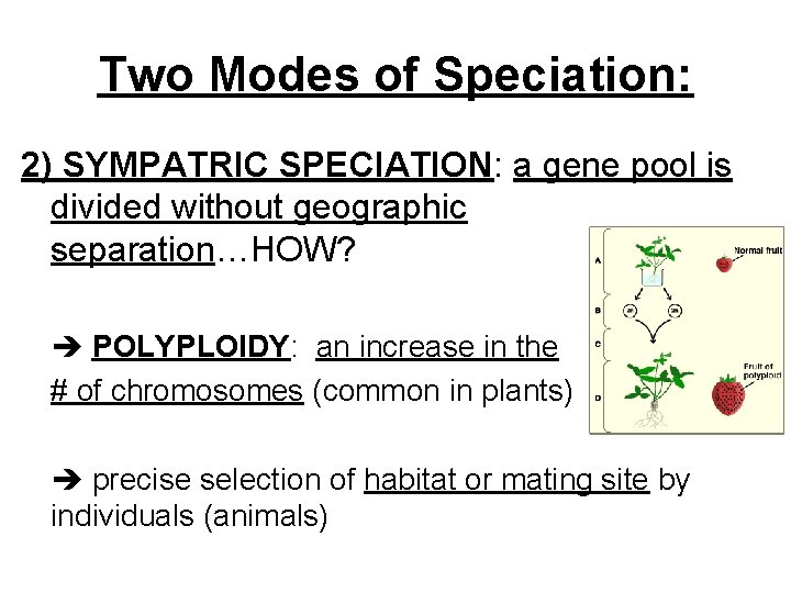 Two Modes of Speciation: 2) SYMPATRIC SPECIATION: a gene pool is divided without geographic