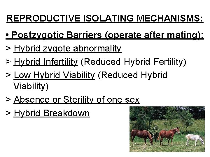 REPRODUCTIVE ISOLATING MECHANISMS: • Postzygotic Barriers (operate after mating): > Hybrid zygote abnormality >