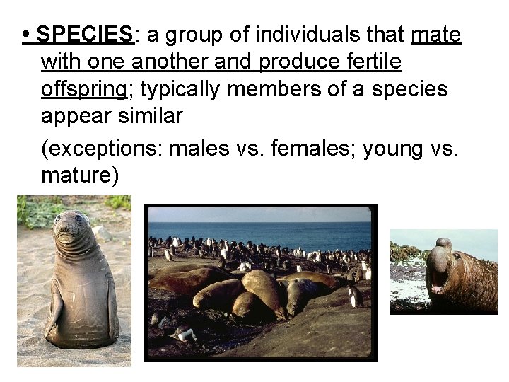  • SPECIES: a group of individuals that mate with one another and produce