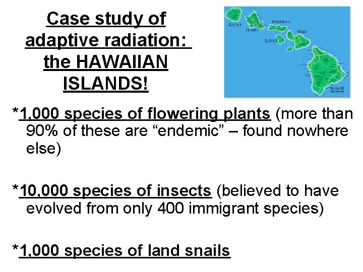 Case study of adaptive radiation: the HAWAIIAN ISLANDS! *1, 000 species of flowering plants