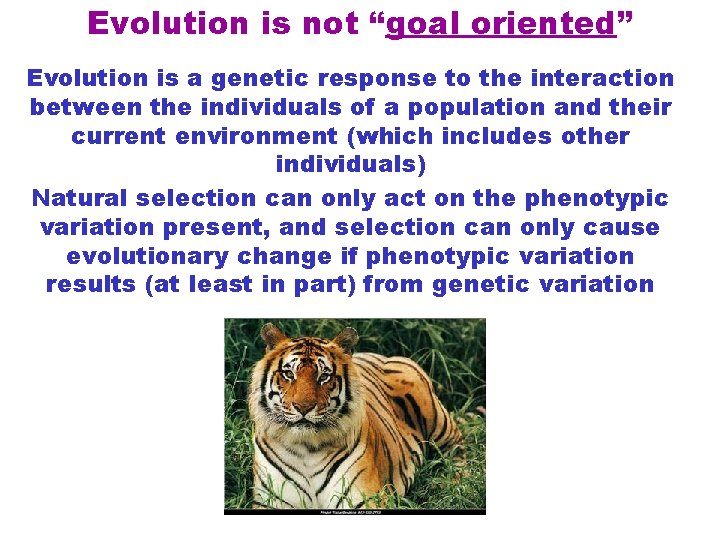 Evolution is not “goal oriented” Evolution is a genetic response to the interaction between