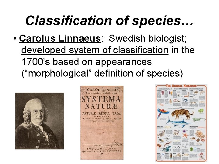 Classification of species… • Carolus Linnaeus: Swedish biologist; developed system of classification in the