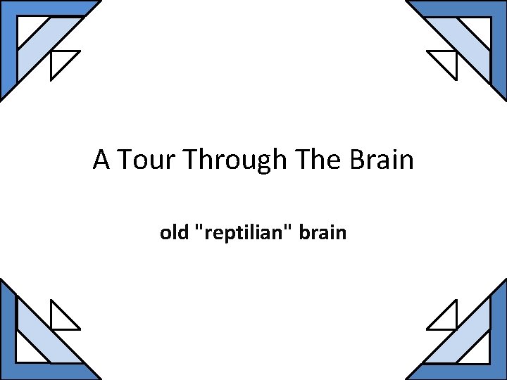 A Tour Through The Brain old "reptilian" brain 