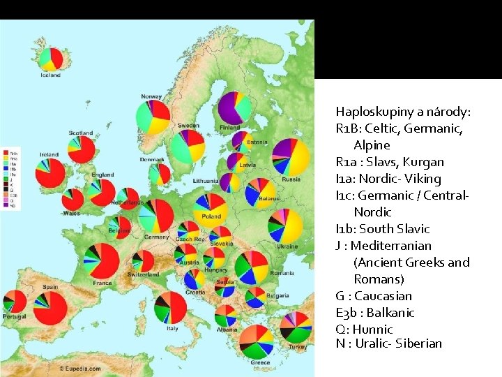 Haploskupiny a národy: R 1 B: Celtic, Germanic, Alpine R 1 a : Slavs,