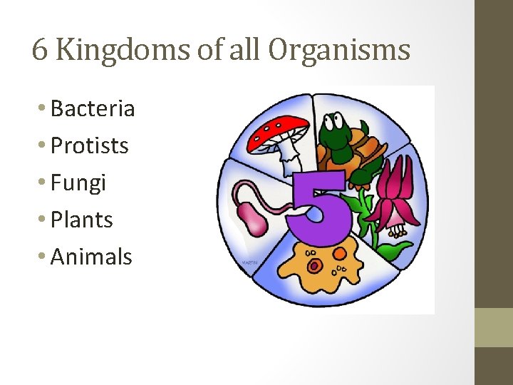 6 Kingdoms of all Organisms • Bacteria • Protists • Fungi • Plants •