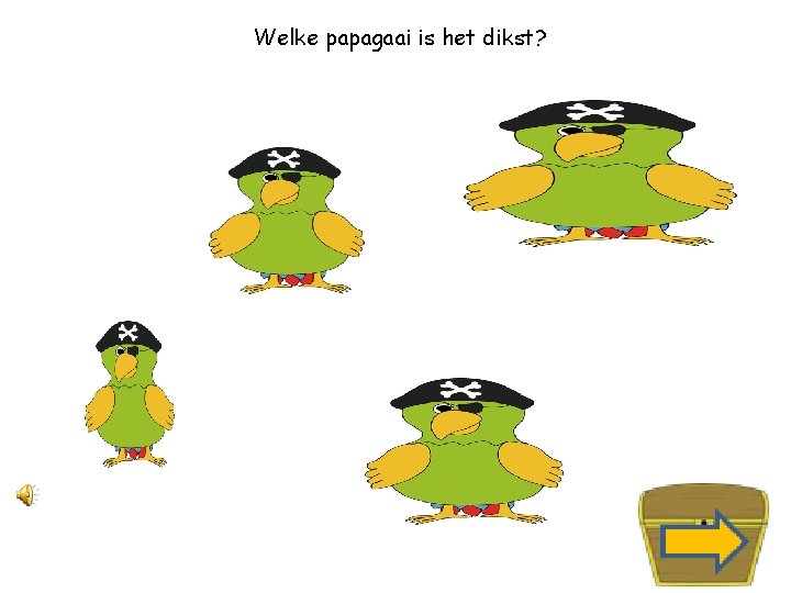 Welke papagaai is het dikst? 