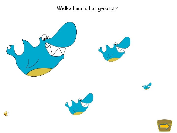 Welke haai is het grootst? 