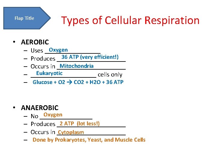 Flap Title Types of Cellular Respiration • AEROBIC – – – Oxygen Uses _________