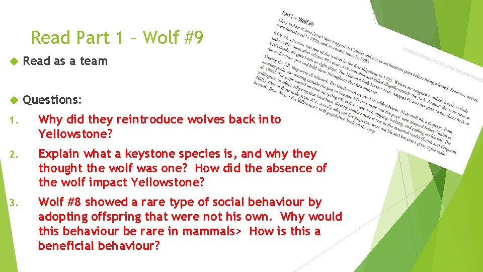 Read Part 1 – Wolf #9 Read as a team Questions: 1. Why did