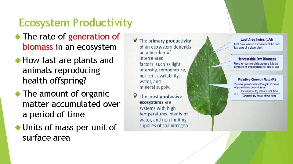 Ecosystem Productivity The rate of generation of biomass in an ecosystem How fast are Ecosystem Productivity The rate of generation of biomass in an ecosystem How fast are