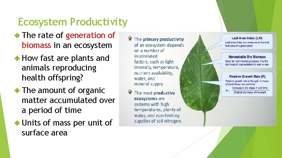 Ecosystem Productivity The rate of generation of biomass in an ecosystem How fast are