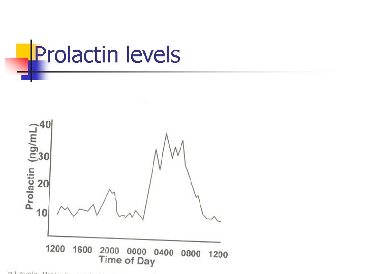 Prolactin levels 