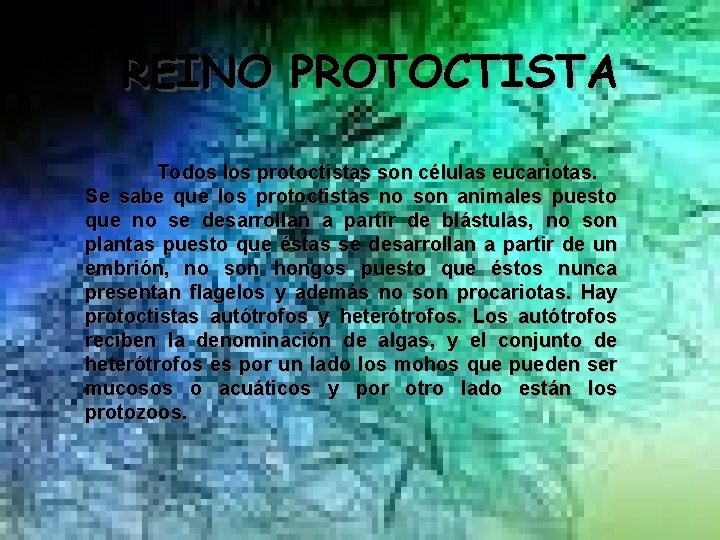 REINO PROTOCTISTA Todos los protoctistas son células eucariotas. Se sabe que los protoctistas no