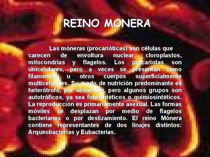 REINO MONERA Las móneras (procarióticas) son células que carecen de envoltura nuclear, cloroplastos, mitocondrias