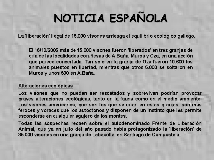 NOTICIA ESPAÑOLA La 'liberación' ilegal de 15. 000 visones arriesga el equilibrio ecológico gallego.
