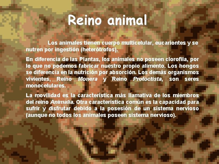 Reino animal Los animales tienen cuerpo multicelular, eucariontes y se nutren por ingestión (heterótrofos).