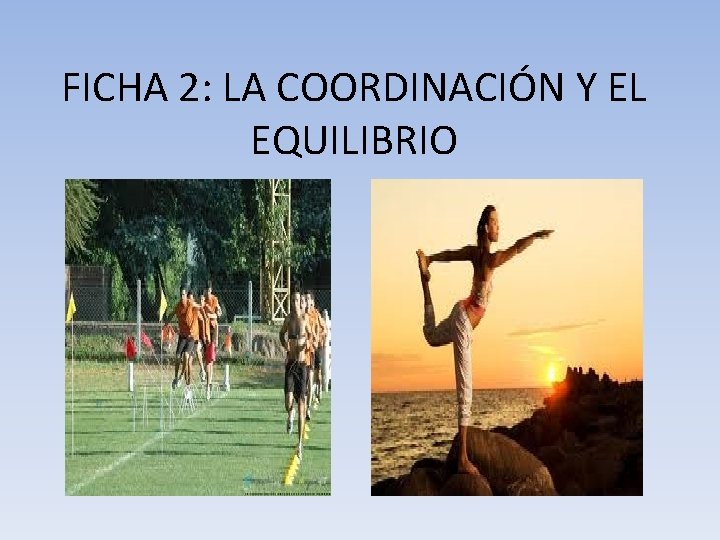FICHA 2: LA COORDINACIÓN Y EL EQUILIBRIO 