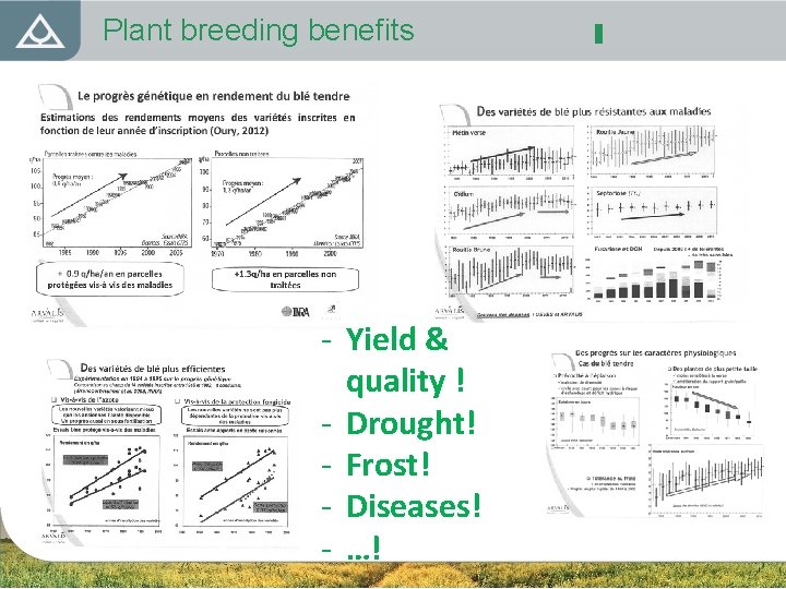 Plant breeding benefits - Yield & quality ! - Drought! - Frost! - Diseases!