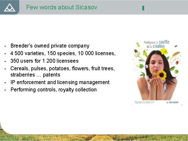 Few words about Sicasov - Breeder’s owned private company 4 500 varieties, 150 species,