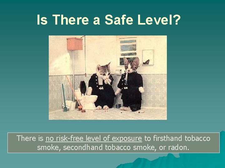 Is There a Safe Level? There is no risk-free level of exposure to firsthand