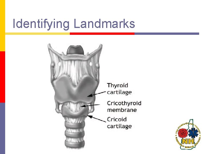 Identifying Landmarks Identifying Landmarks