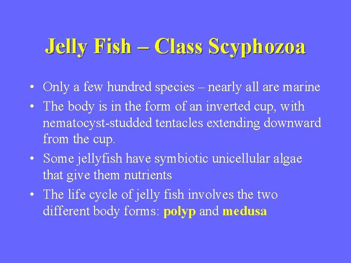 Jelly Fish – Class Scyphozoa • Only a few hundred species – nearly all