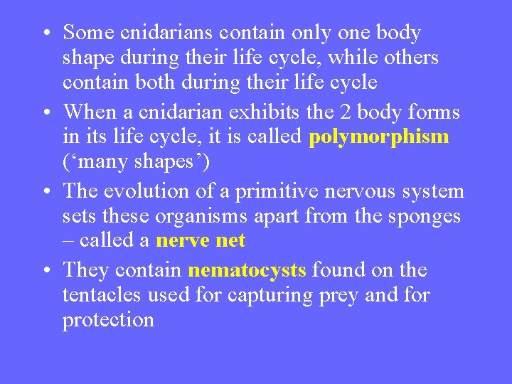  • Some cnidarians contain only one body shape during their life cycle, while