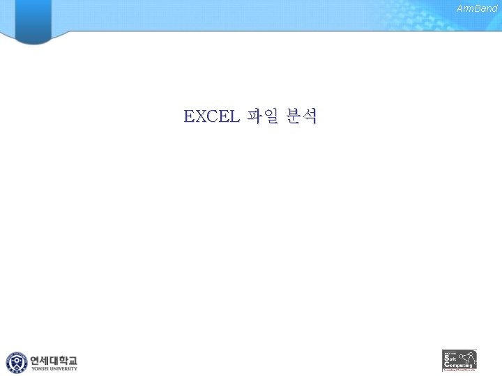 Arm. Band EXCEL 파일 분석 