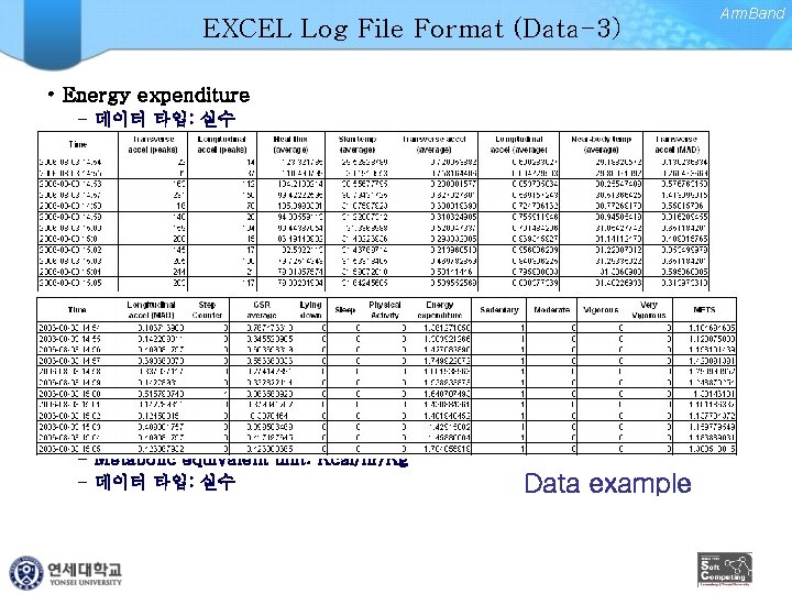 EXCEL Log File Format (Data-3) • Energy expenditure – 데이터 타입: 실수 • Sedentary