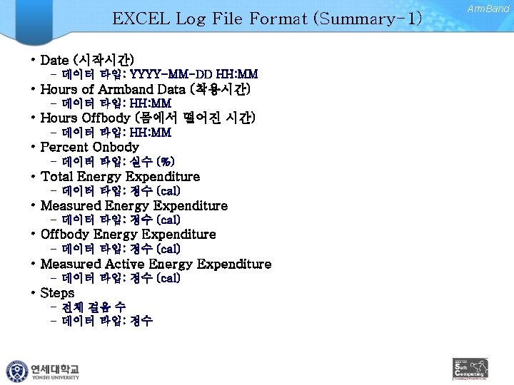 EXCEL Log File Format (Summary-1) • Date (시작시간) – 데이터 타입: YYYY-MM-DD HH: MM