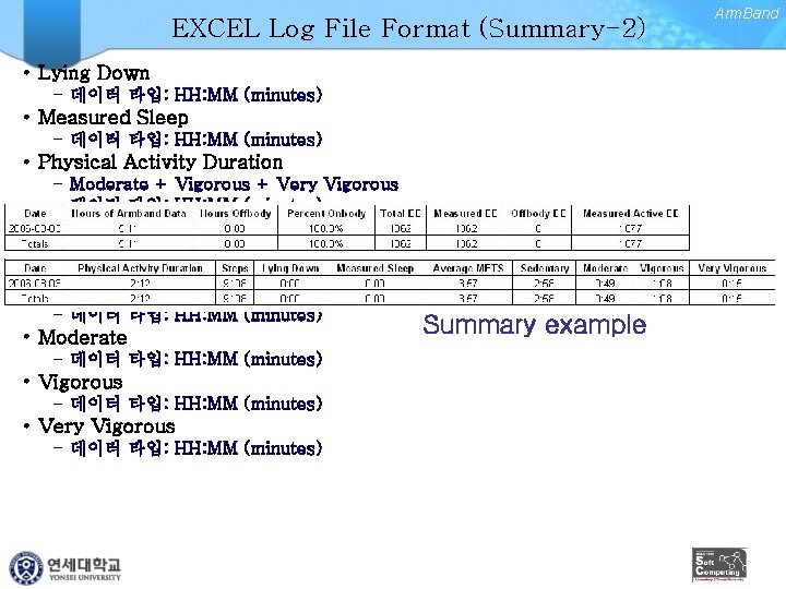 EXCEL Log File Format (Summary-2) Arm. Band • Lying Down – 데이터 타입: HH: