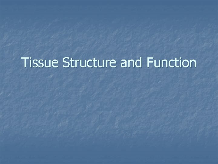 Tissue Structure and Function 