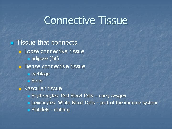 Connective Tissue n Tissue that connects n Loose connective tissue n n Dense connective