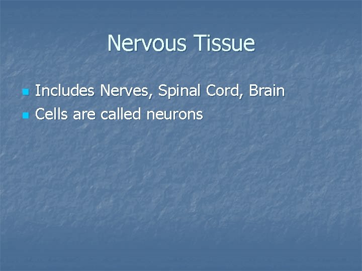 Nervous Tissue n n Includes Nerves, Spinal Cord, Brain Cells are called neurons 