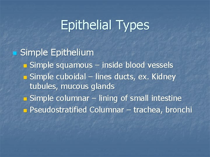 Epithelial Types n Simple Epithelium Simple squamous – inside blood vessels n Simple cuboidal