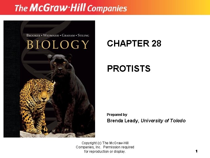 CHAPTER 28 PROTISTS Prepared by Brenda Leady, University of Toledo Copyright (c) The Mc.