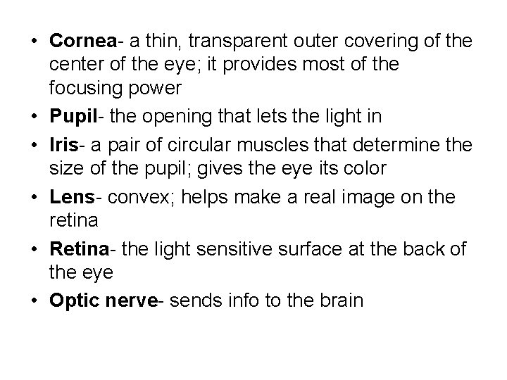 • Cornea- a thin, transparent outer covering of the center of the eye;
