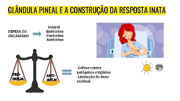 GL NDULA PINEAL E A CONSTRUÇÃO DA RESPOSTA INATA DEFESA DO ORGANISMO PRÓINFLM. Neural