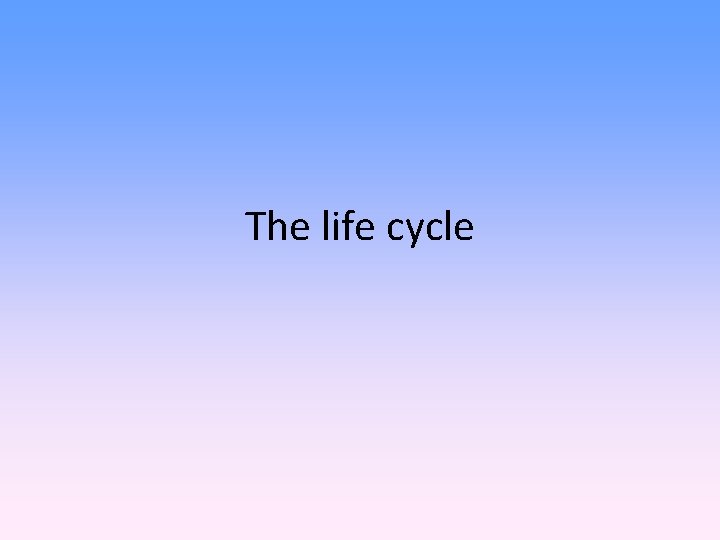 The life cycle 