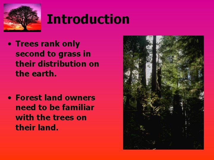 Introduction • Trees rank only second to grass in their distribution on the earth.