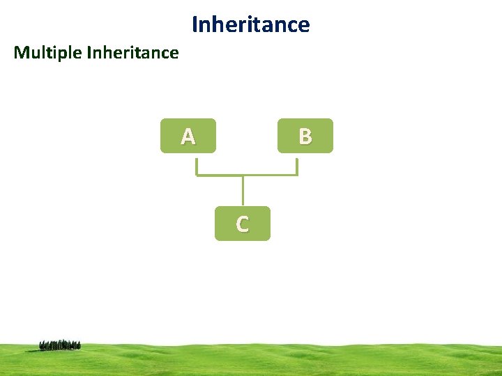 Inheritance Multiple Inheritance A B C 20 
