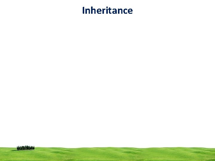 Inheritance 25 