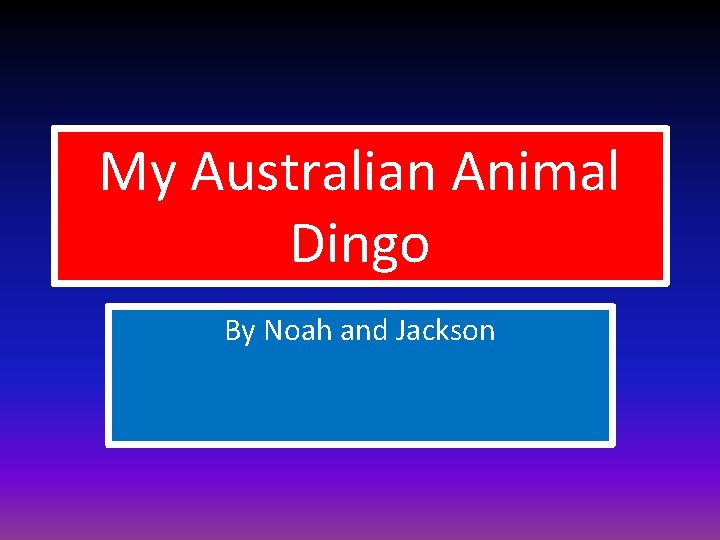 My Australian Animal Dingo By Noah and Jackson 