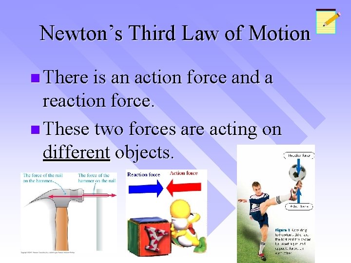 Newton’s Third Law of Motion n There is an action force and a reaction