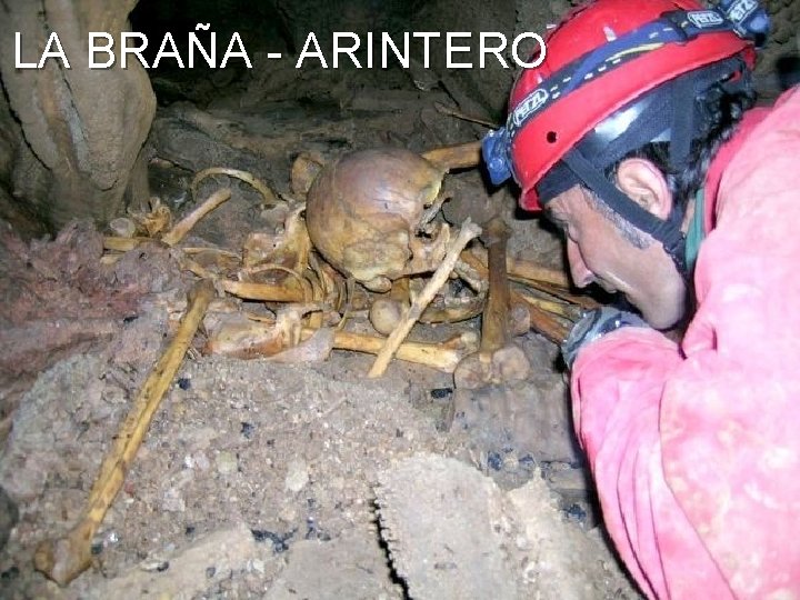 LA BRAÑA - ARINTERO 