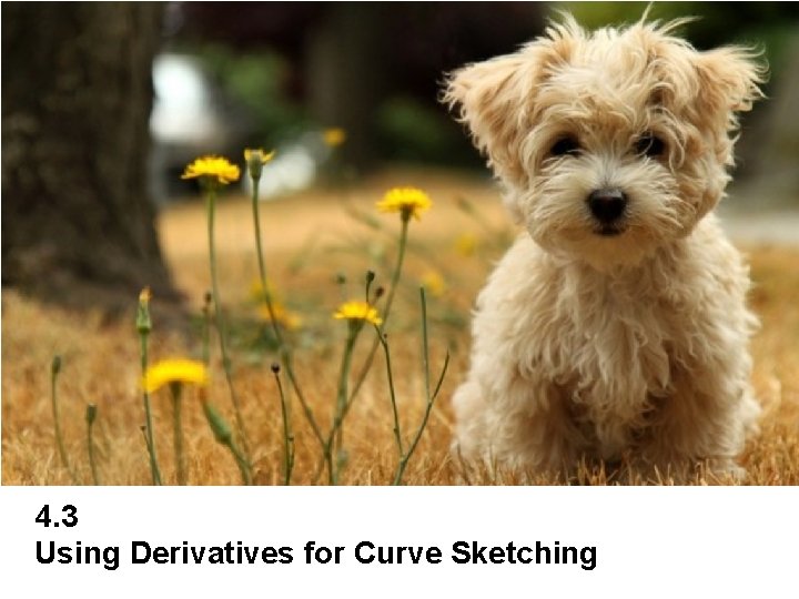 4. 3 Using Derivatives for Curve Sketching 