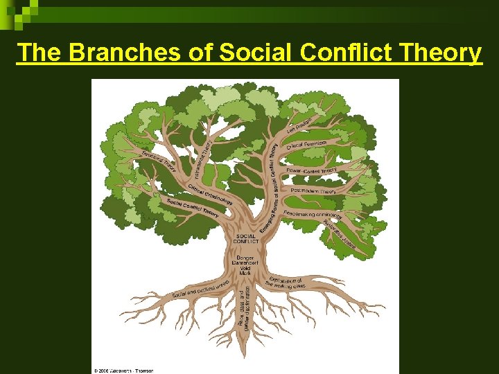 The Branches of Social Conflict Theory The Branches of Social Conflict Theory